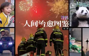 Download Video: 看到这个视频的人 祝你天天好心情