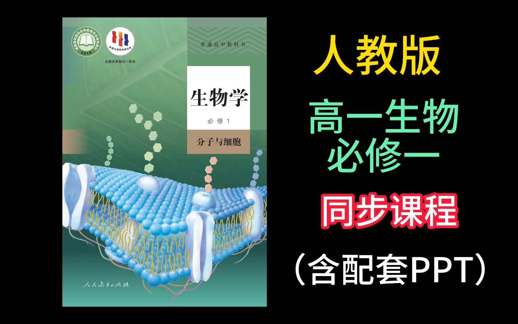 高中生物全套视频
  第2张