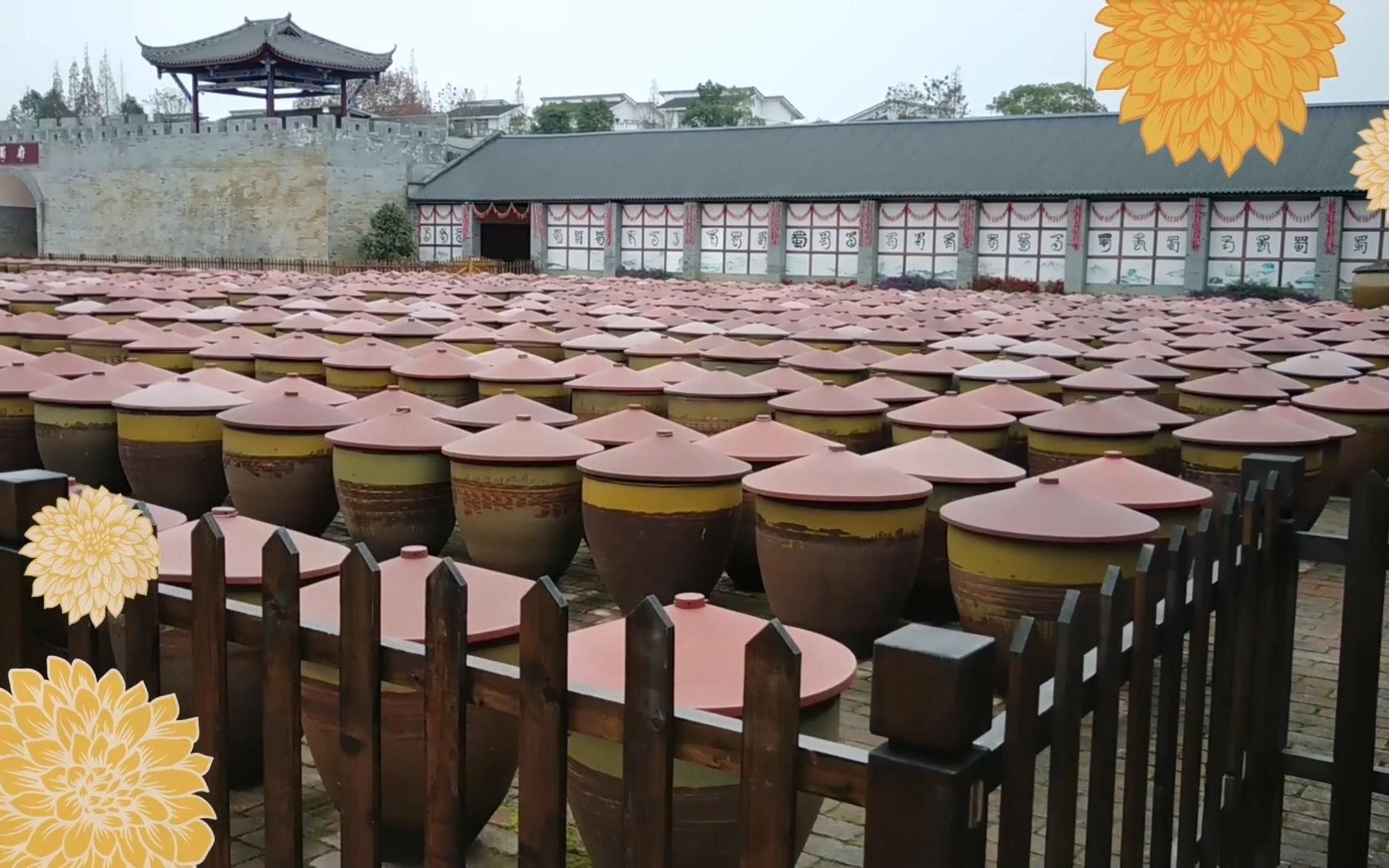 梦姐周末参观郫县豆瓣博物馆,里边竟然放了上千个大缸,太壮观了!