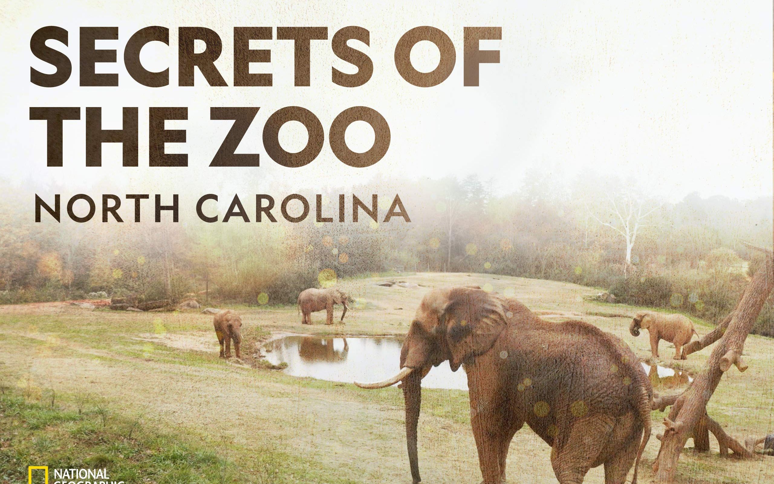 [图][英语中字]动物园秘辛：北卡罗来纳 Secrets of the Zoo: North Carolina (2020)