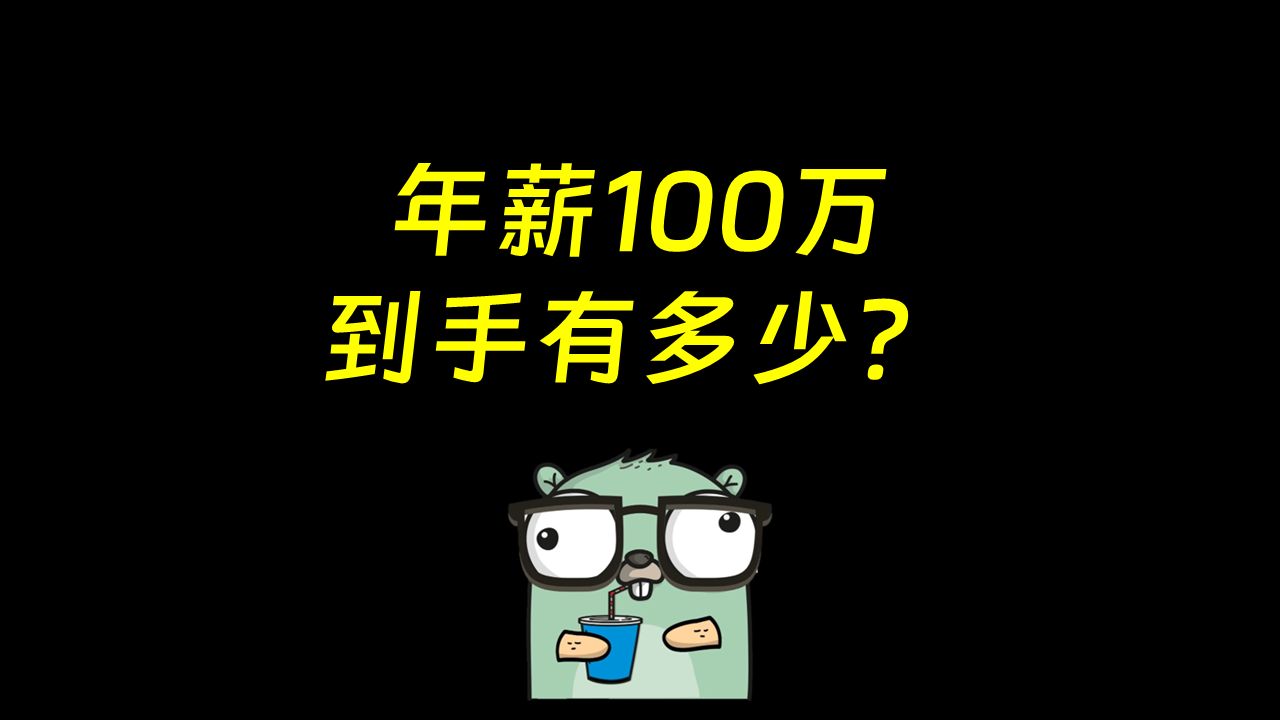 年薪100万,到手有多少?哔哩哔哩bilibili