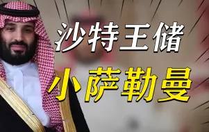 Download Video: 圈禁亲族！强行改革？沙特的小萨勒曼究竟是明君还是暴君