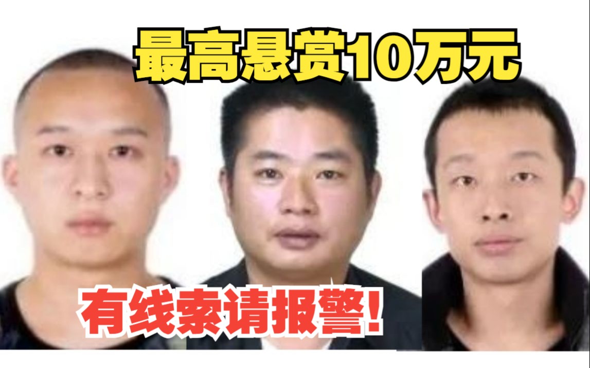 悬赏2万至10万元!泸州警方公开通缉3名电诈集团重要头目哔哩哔哩bilibili