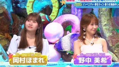 岡村ほまれ fsk モーニング娘。 岡村ほまれ アクリルスタンド アクスタ ミニfsk