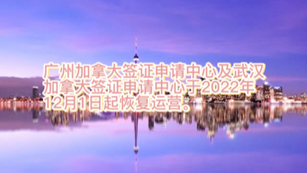 北京、广州、重庆等地签证中心开放!哔哩哔哩bilibili