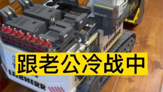 怪不得买了个这么大的模型