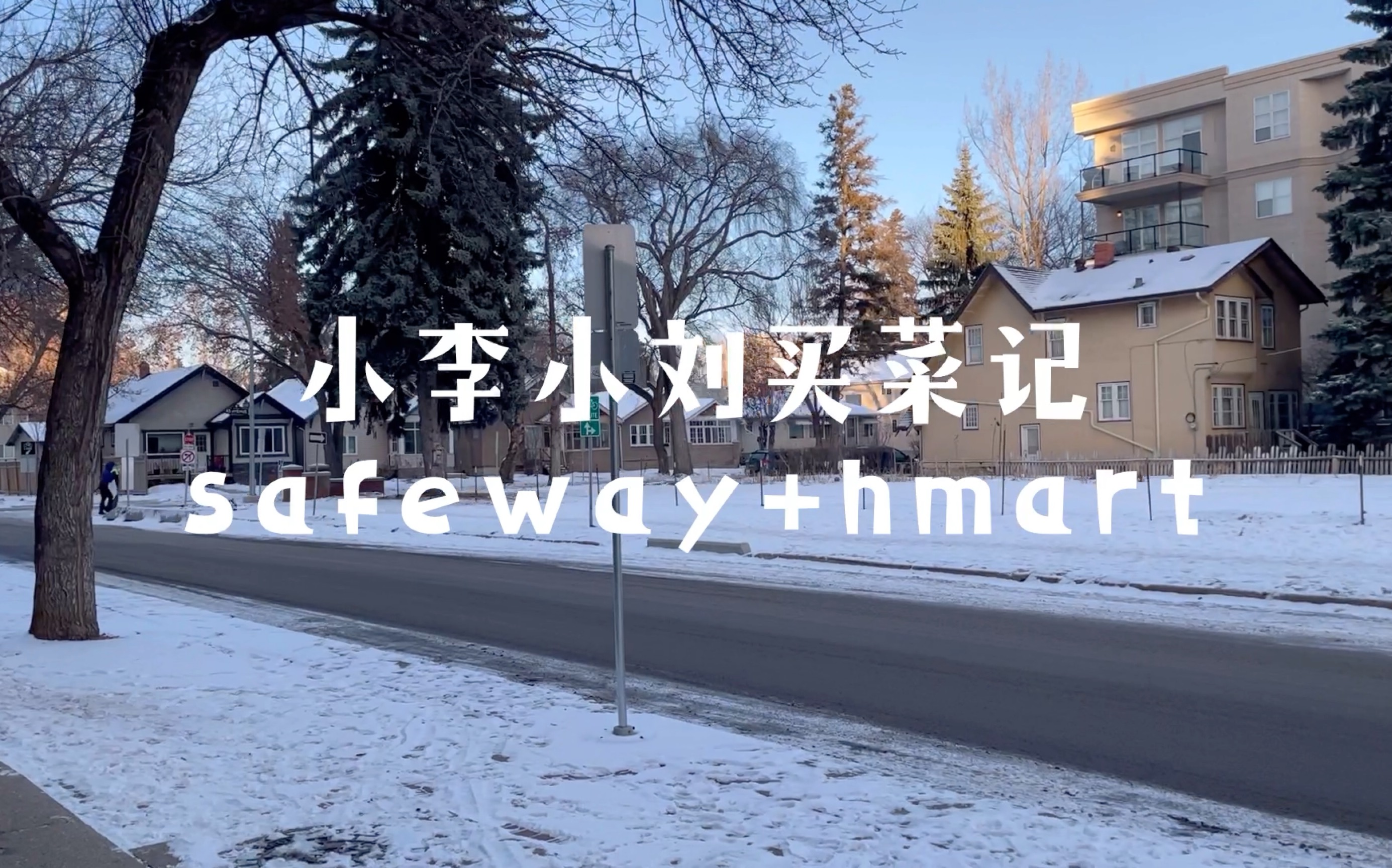 小李小刘在埃德蒙顿的日常买菜体验,safeway+hmart哔哩哔哩bilibili