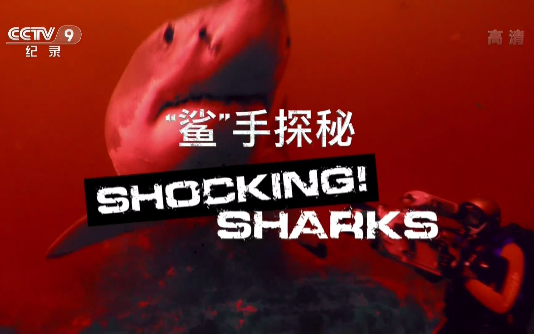 cctv9hd纪录片鲨手探秘shockingsharks1080p
