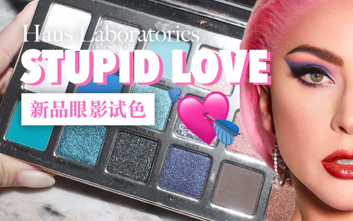 【试色】蠢爱(?)屏蔽了我的理智  lady gaga haus laboratories STUPID LOVE 十八色眼影盘试色repo哔哩哔哩bilibili