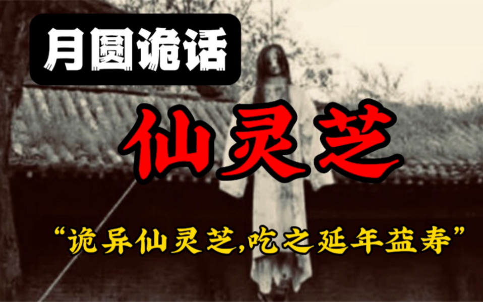 【月圆诡话】《仙灵芝》:诡异仙灵芝,吃之延年益寿哔哩哔哩bilibili