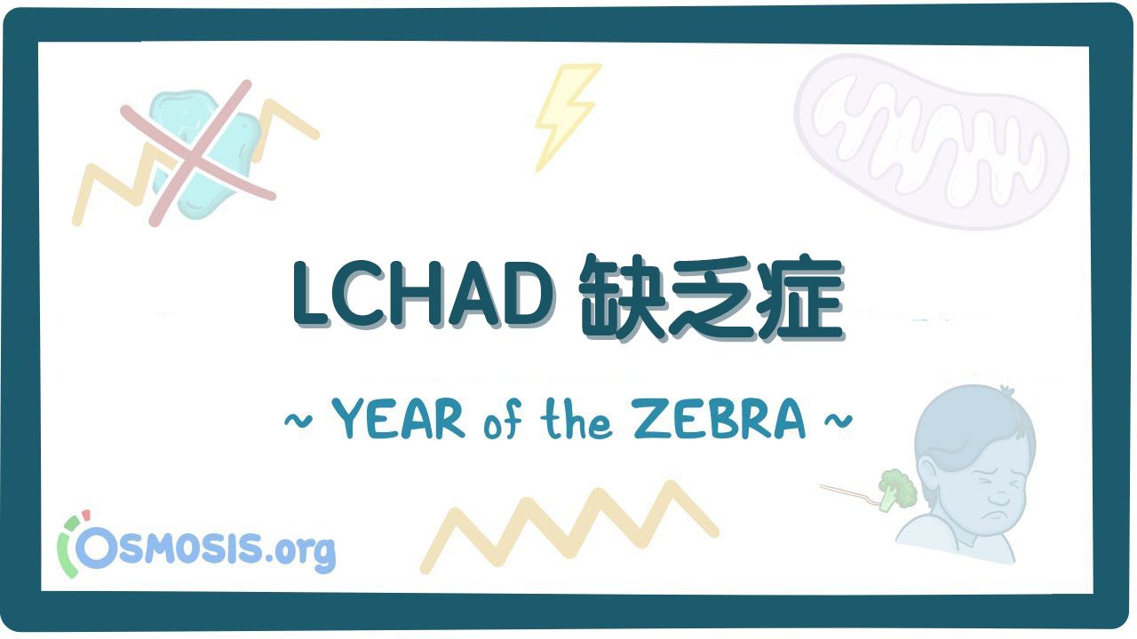 LCHAD缺乏症哔哩哔哩bilibili