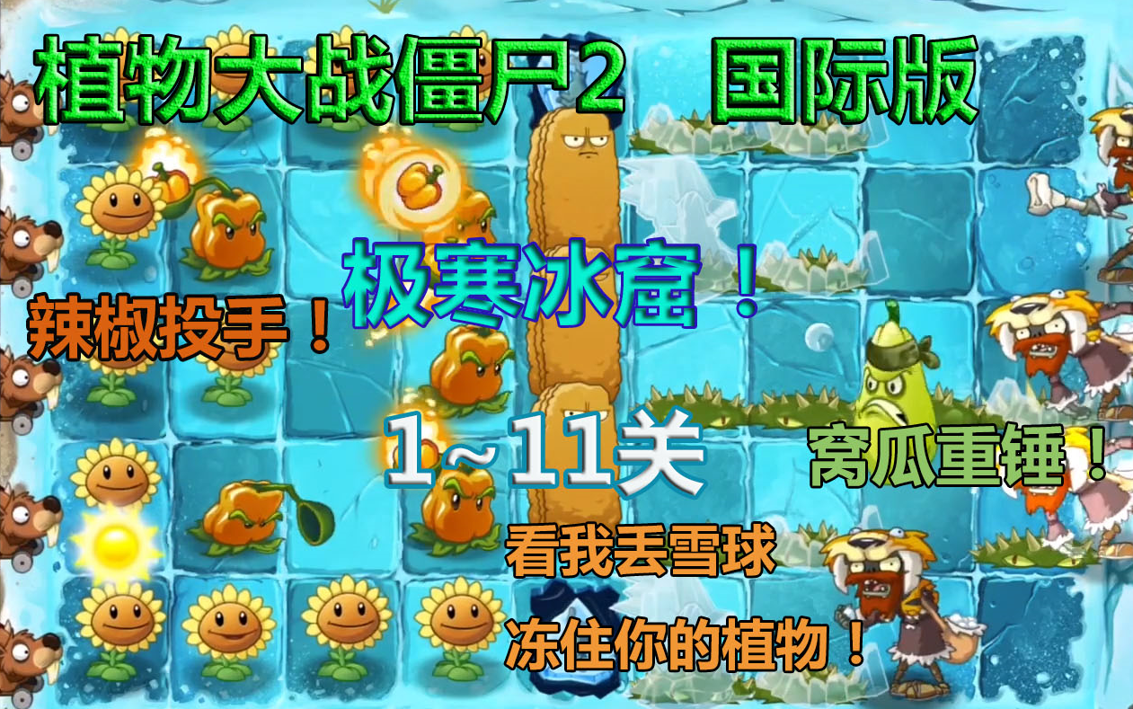 【丁菊长】pvz2国际版 极寒冰窟1~11关 攻略解说哔哩哔哩bilibili