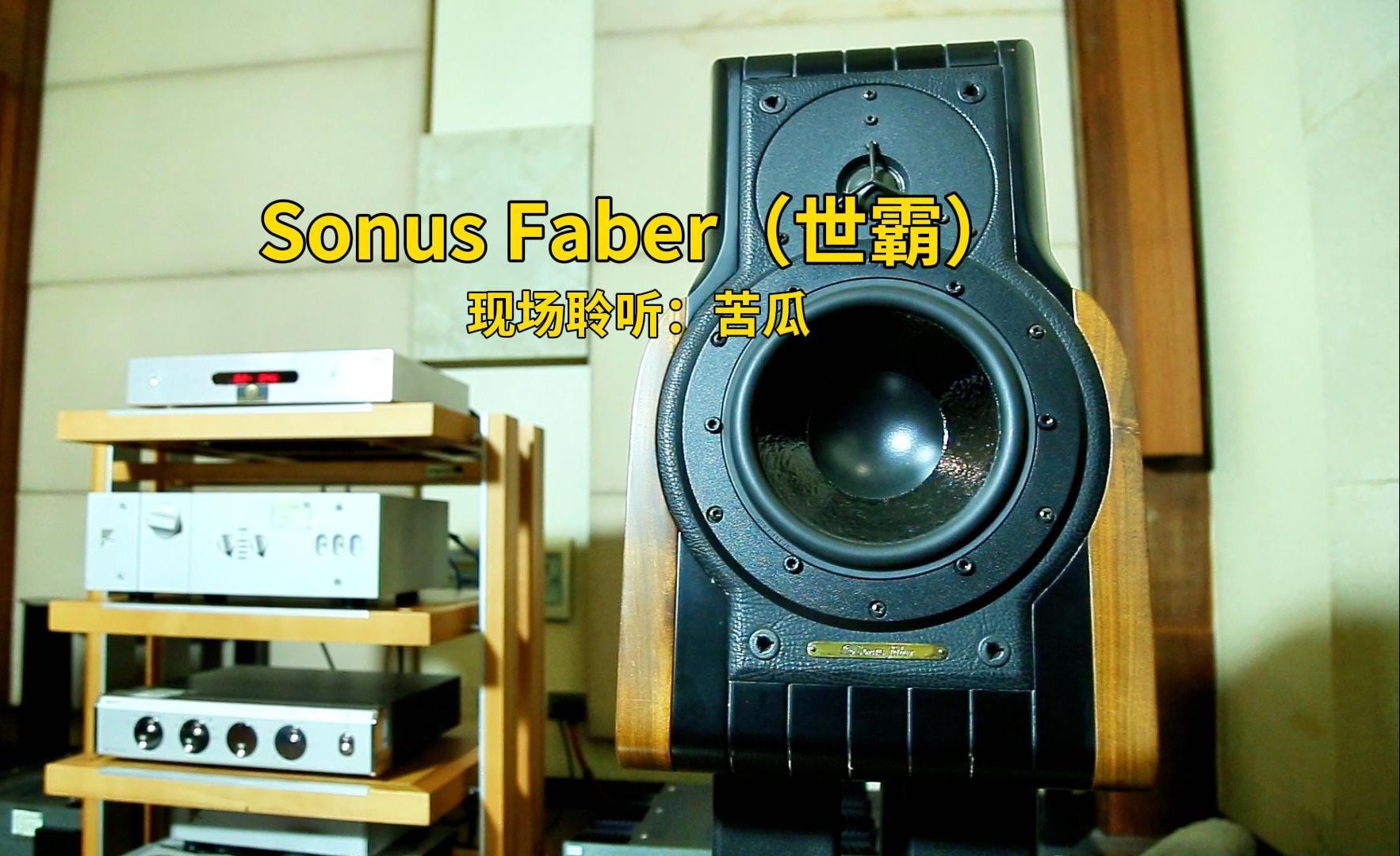 意大利 Sonus Faber(世霸)EXTREMA系统现场聆听陈奕迅(苦瓜)哔哩哔哩bilibili