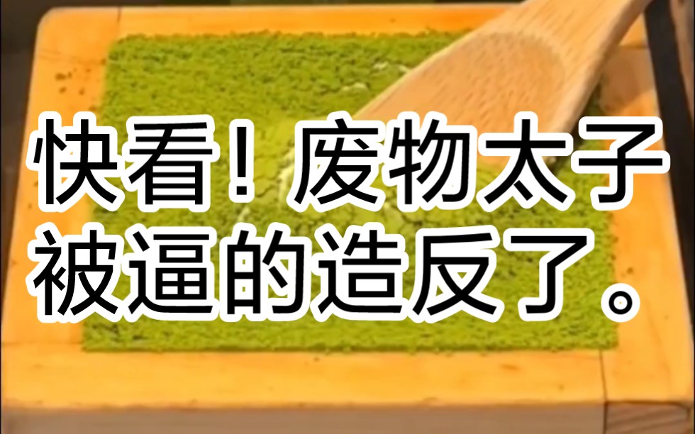 你一个白痴太子!却被污蔑亵渎皇帝漱妃的两个大刀.还让皇帝当场下令废掉这个太子之位.哔哩哔哩bilibili