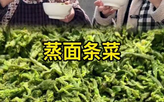 今天蒸一盆面条菜,春天的第一口野菜,特别美味哔哩哔哩bilibili