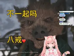 Descargar video: 【Hiiro】就算八戒口吐芬芳，猫猫心里还是一直有他