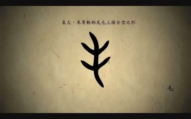 汉字演变百例之“毛”字.《说文解字》毛:眉发之属及兽毛也.象形.凡毛之属皆从毛.哔哩哔哩bilibili