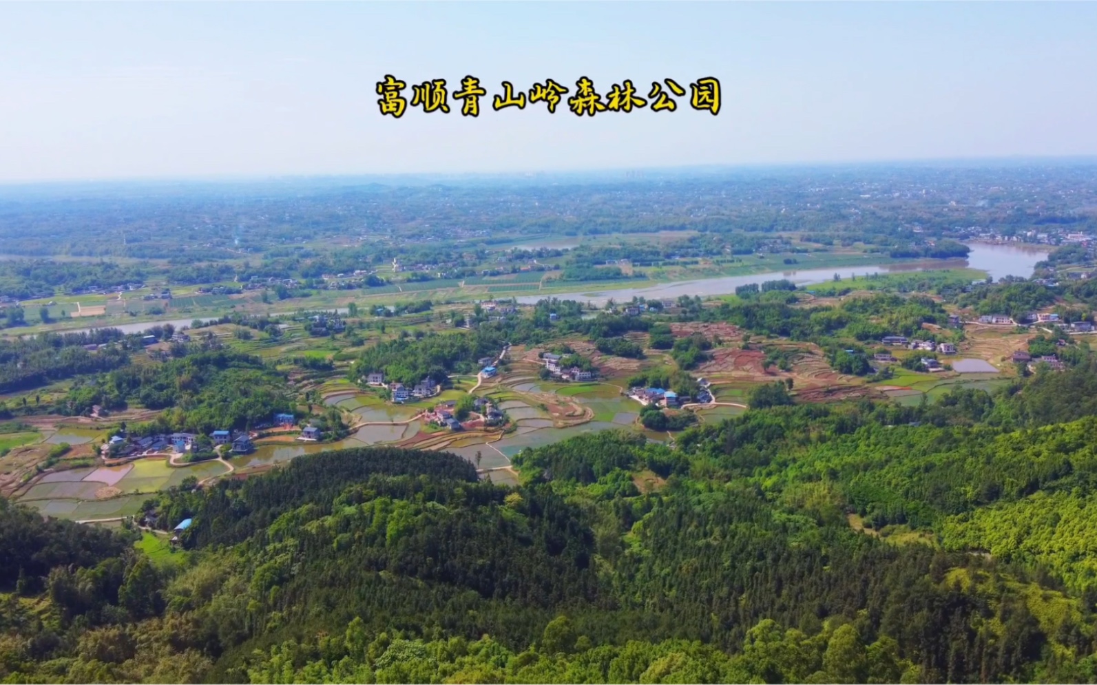 站在富顺县最高的地方告白之青山岭森林公园