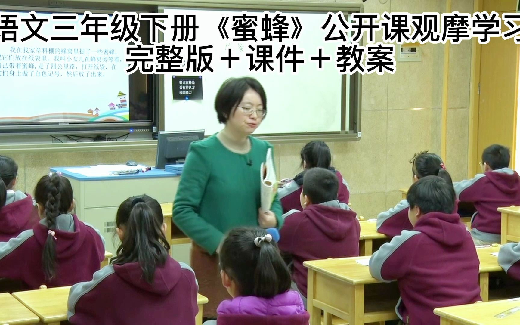 小学语文三年级下册公开课《蜜蜂》观摩学习