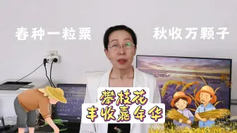 Video herunterladen: 攀枝花丰收嘉年华