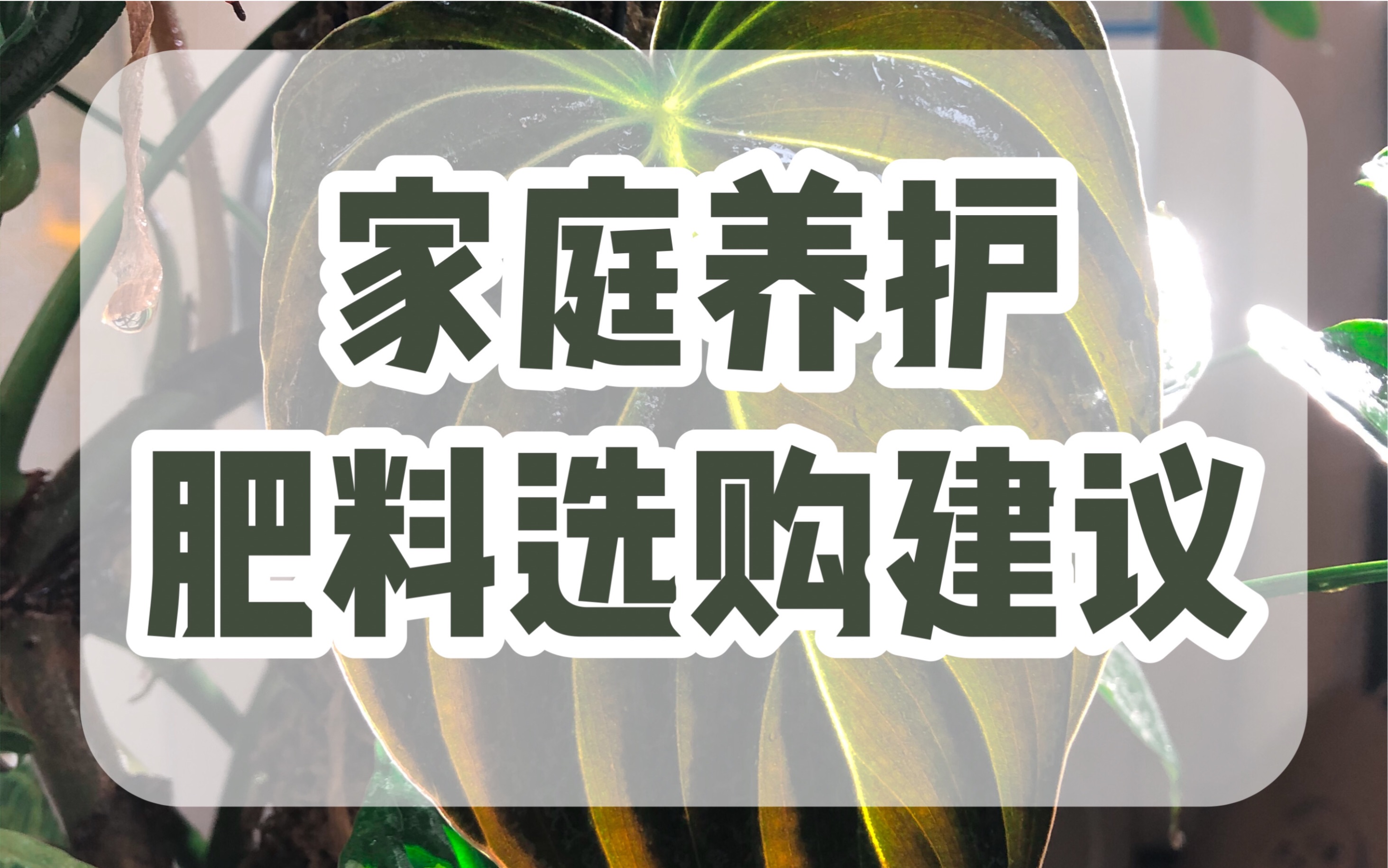 大包装/高浓度激素肥料/农药,在家庭养护中应该如何选购?哔哩哔哩bilibili