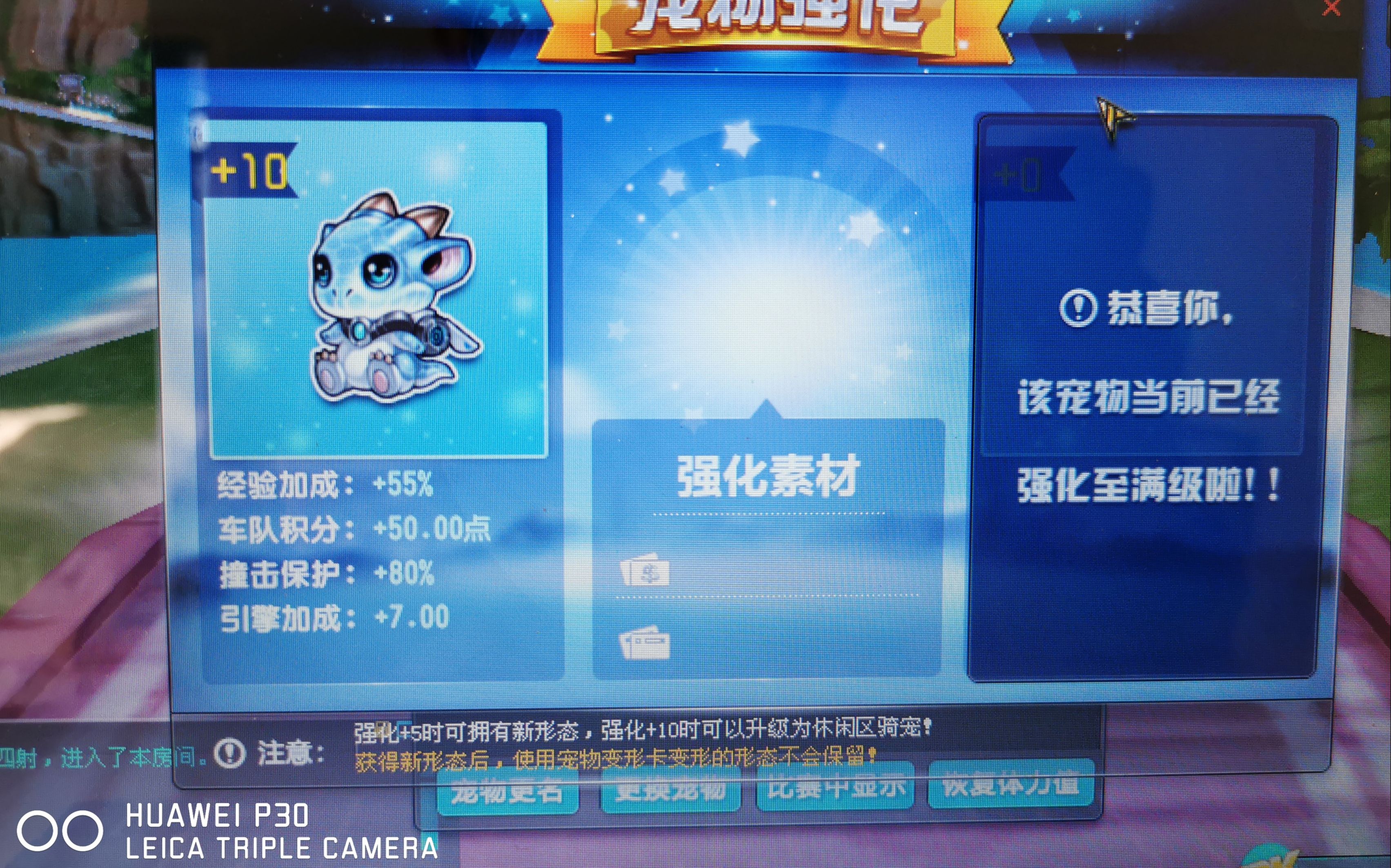 qq飞车城邦守护兽怎么喂养_在哪里喂养