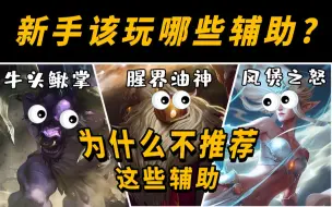 Download Video: 【辅助必看】最适合新手玩的辅助有哪些？看完轻松入门辅助位