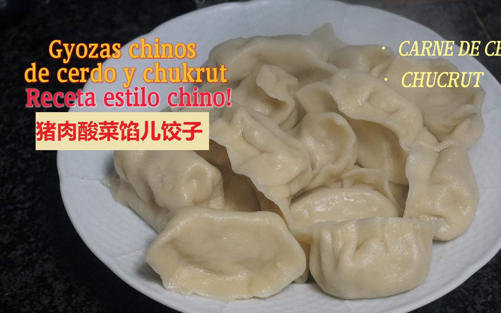 西班牙语版猪肉酸菜馅儿饺子Gyozas chinos de cerdo y chukrut  receta estilo chino!哔哩哔哩bilibili