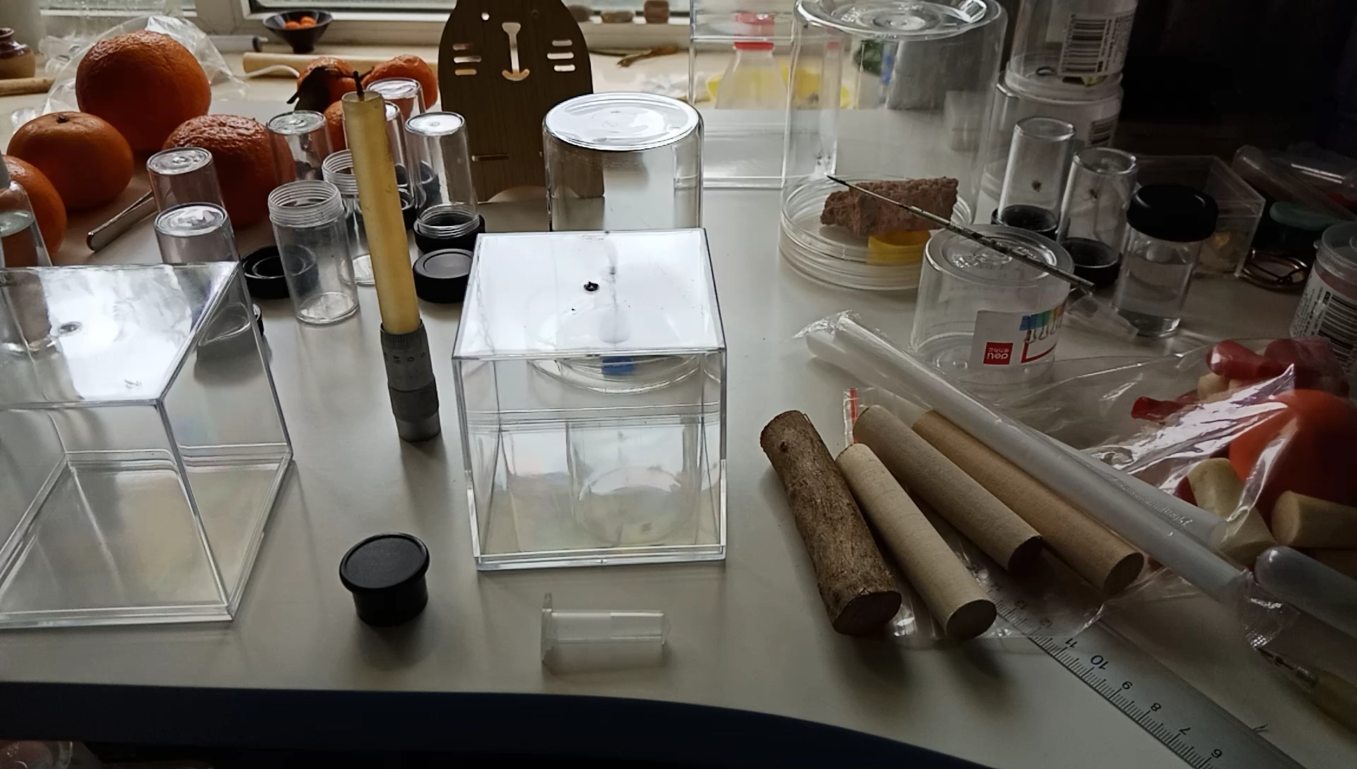 跳蛛饲养盒diy的一些思路加湿器喂食孔透气孔就这三样