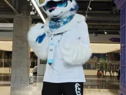 能不能别钓我几天就不钓了，我都和我朋友说感觉这次要结婚了