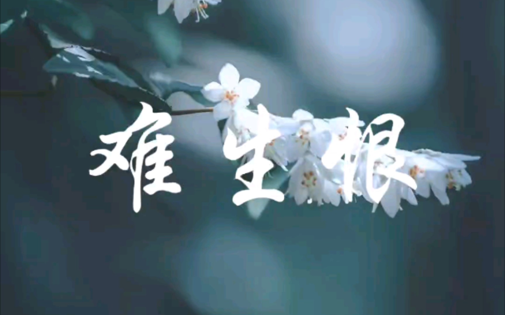 【尤克里里弹唱】难生恨