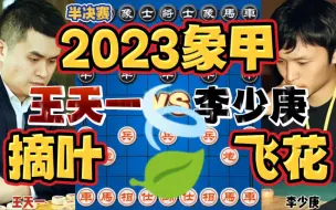 Download Video: 王天一vs李少庚 外星人不浪了摘花飞叶皆可为剑 2023象甲半决赛