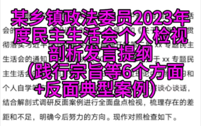 某乡镇政法委员2023年度民主生活会个人检视剖析发言提纲(践行宗旨等6个方面+反面典型案例)4850字哔哩哔哩bilibili