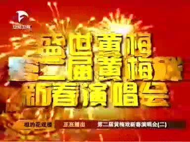 [图]【黄梅戏】2009年第二届黄梅戏新春演唱会(全)