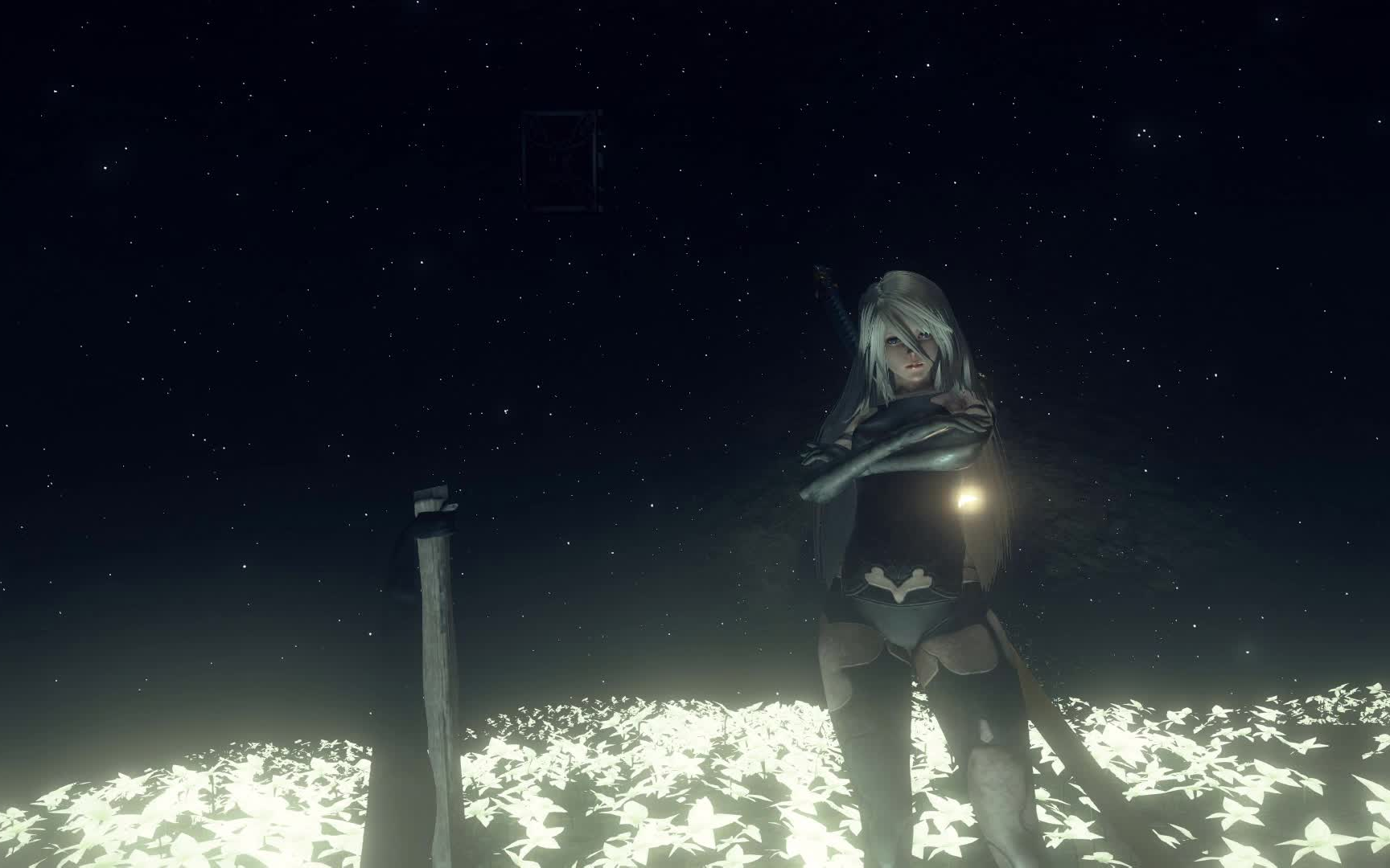 2b小姐姐的动态壁纸