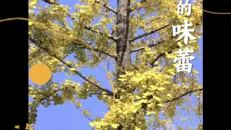 秋日与美食皆不可辜负