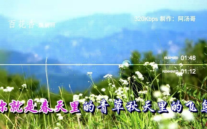 [图]百花香（DJ沈念版）【可视化音频版】