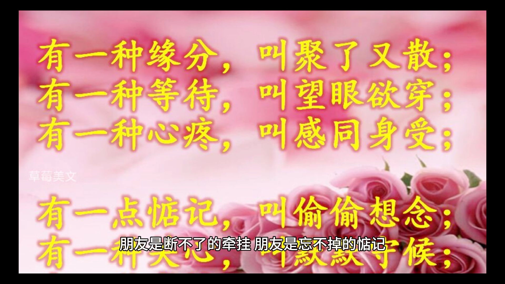 见或不见依然思念