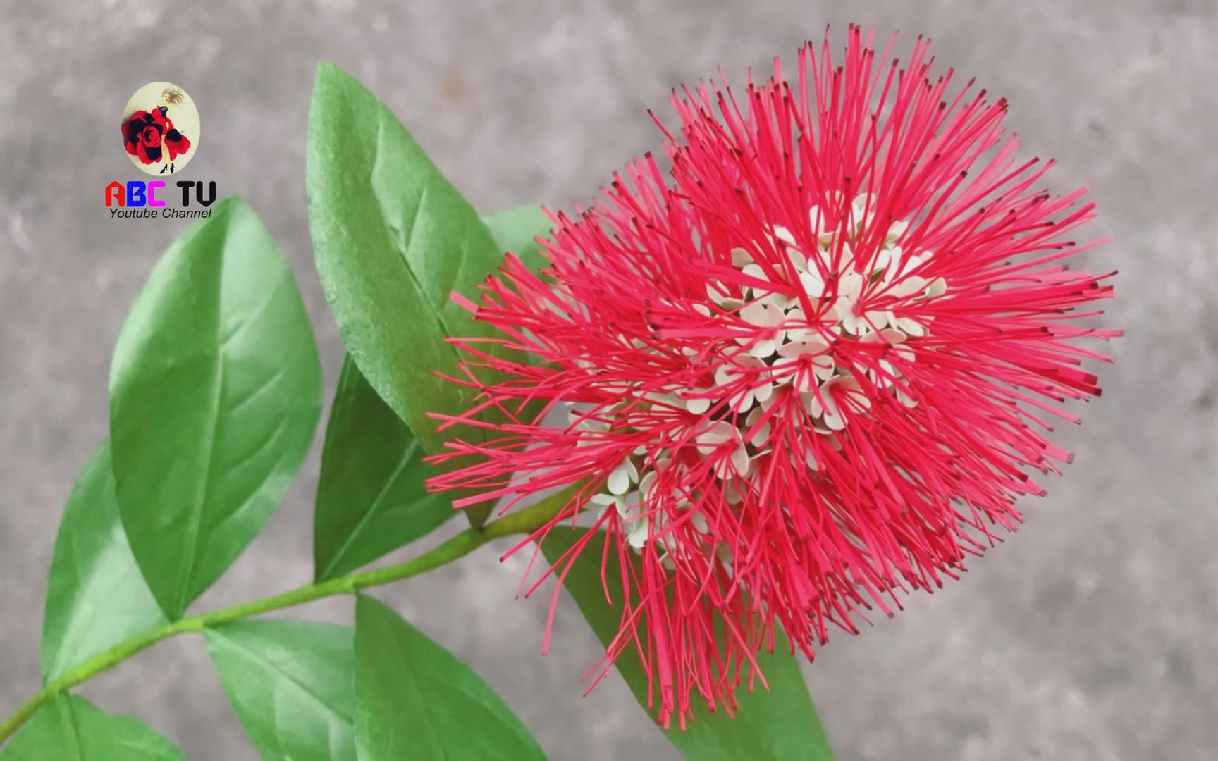 abctv壓花機器花藝紅花風車子粉撲藤泰國風車子詳細版