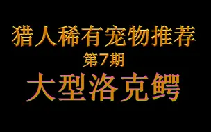 Download Video: 魔兽世界怀旧服猎人稀有宠物推荐-大型洛克鳄