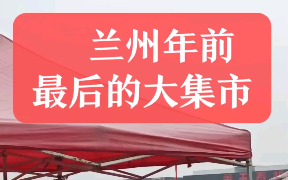 久违了,兰州曾经的鸽子市,万人汇聚此地,这个春节不算白过..烟火气十足!这个集市只在周六,周日开放.天畅农贸市场,132路公交或者自驾前往哔哩...