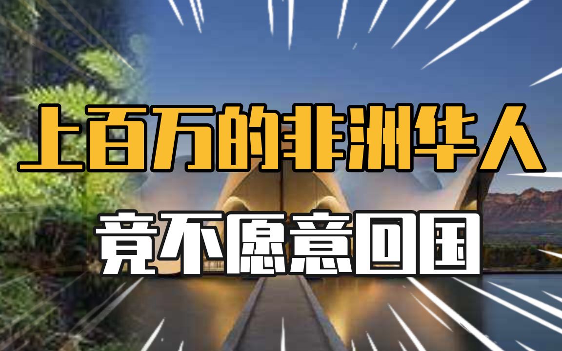 非洲华人不愿意回国