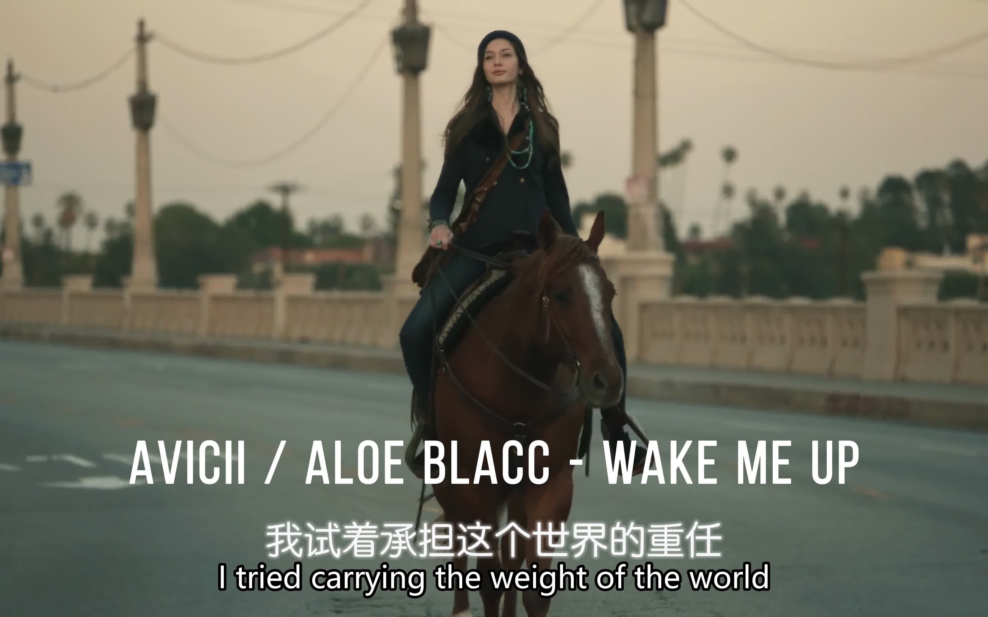 [图]Avicii&Aloe Blacc-Wake Me Up(无损音质4K60MV)[中英字幕]SQ(FLAC16/44)