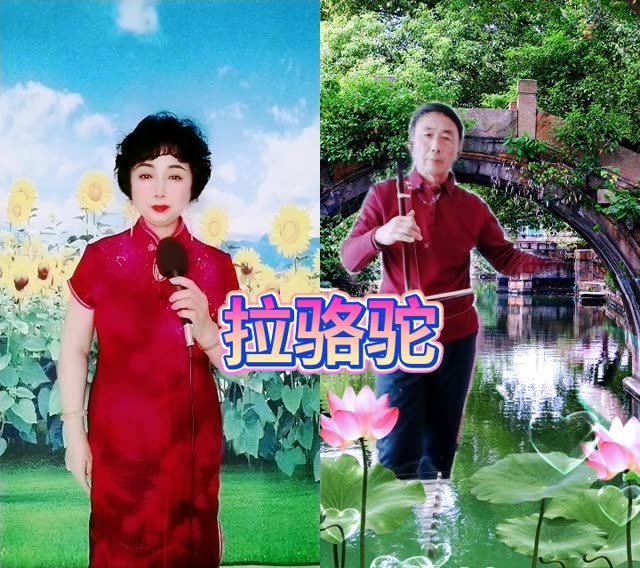 内蒙古山曲大全 全集图片