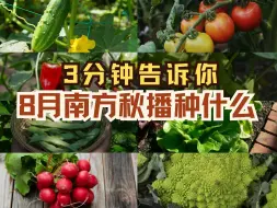 Download Video: 南方秋播种这20种菜🥬整个秋冬都有菜吃！