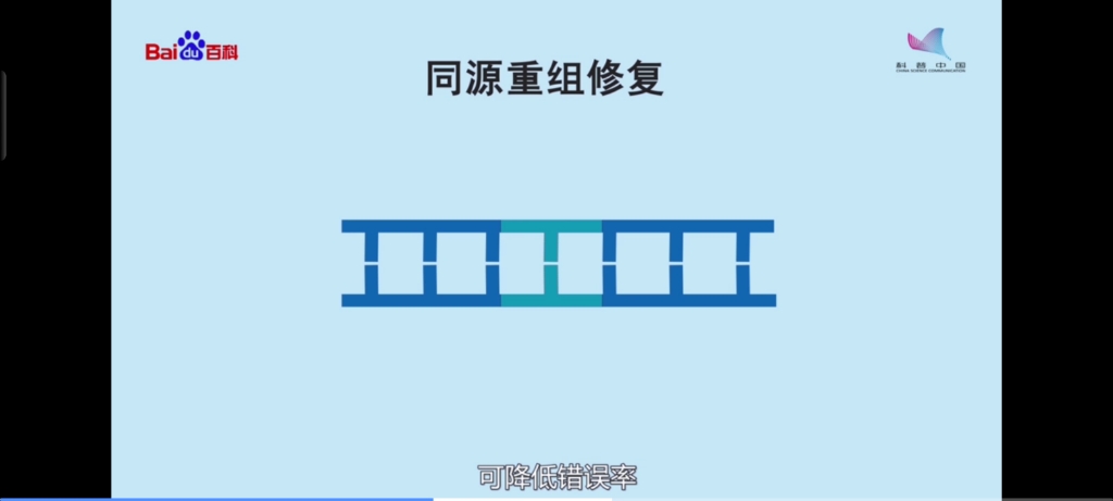 核糖核酸酶哔哩哔哩bilibili