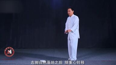 徐纪】陈式太极拳连环老架炮捶（1995）_哔哩哔哩_bilibili