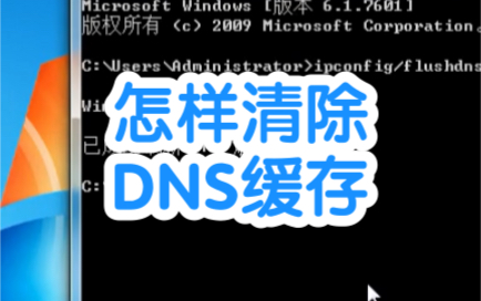 怎样清除dns缓存哔哩哔哩bilibili