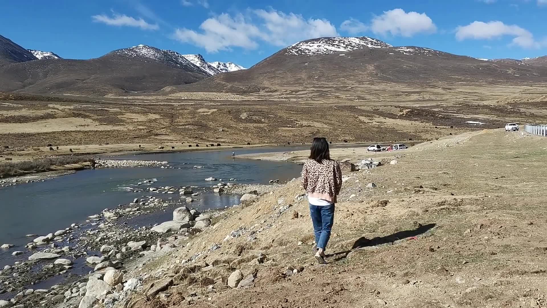 [图]《情旅》妻子的穿越西藏梦，第三站，理塘到芒康，沿途风景混剪。