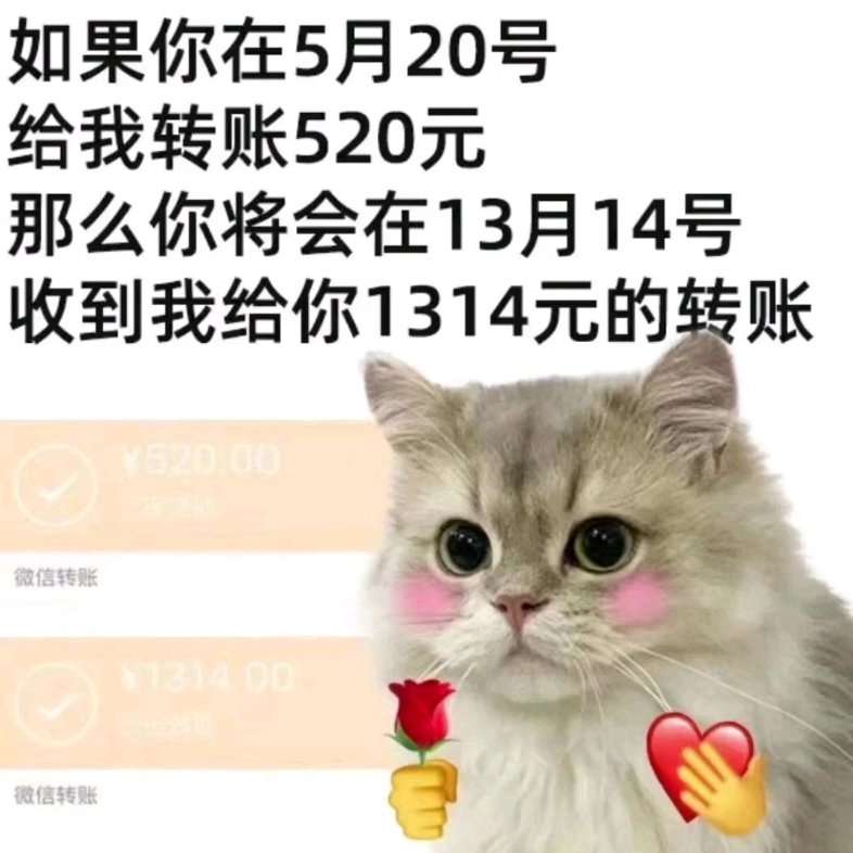 表情包1_哔哩哔哩_bilibili